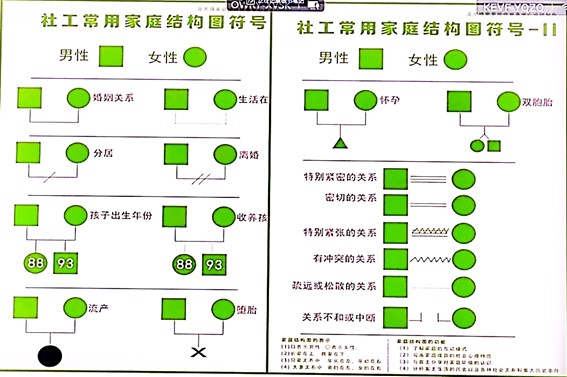 社会常用家庭结构图符号