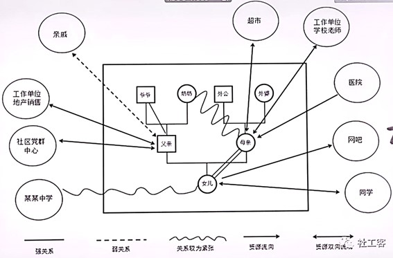 生态系统图的绘制2
