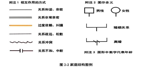 家庭结构图例